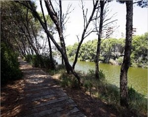 Uno de las zonas de uno de los seis itinerarios peatonales/albufera