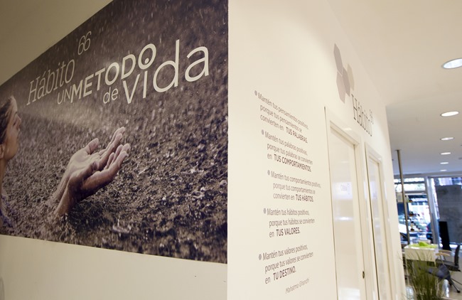 Habito 66 Escuela H&aacute;bitos Saludables Antic Regne74468