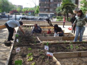 0huerto-
