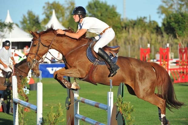 Oliva, SPAIN - 2013 November 2: CSI2* Mediterranean Equestrian Tour Autumn at Oliva Nova Equestrian Center.(photo: © Herve Bonnaud).