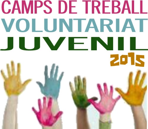 15-7_10_CARTEL__Ivaj_Campos_Trabajo_Voluntario