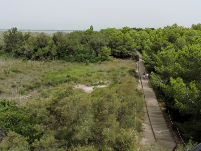 0821 Racó de l'Olla 3.  jpg
