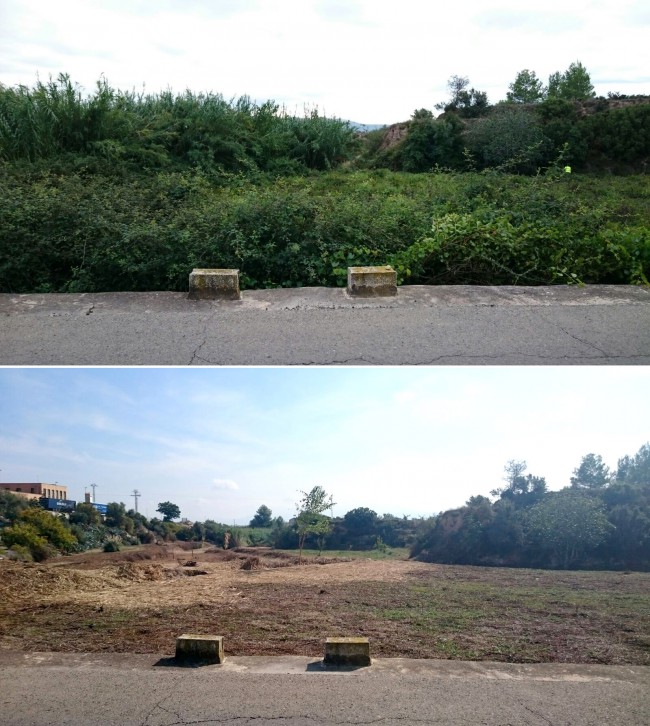 antes-y-despues-aielo-de-malferit