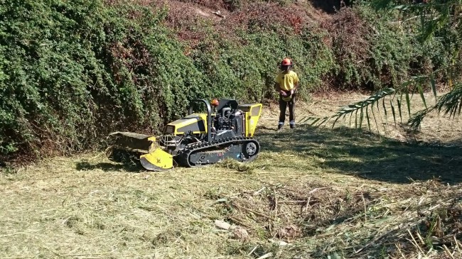 desbrozadora-aielo-de-malferit