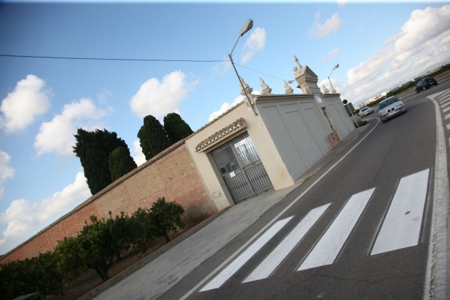 pasocebrabenifaraig-823