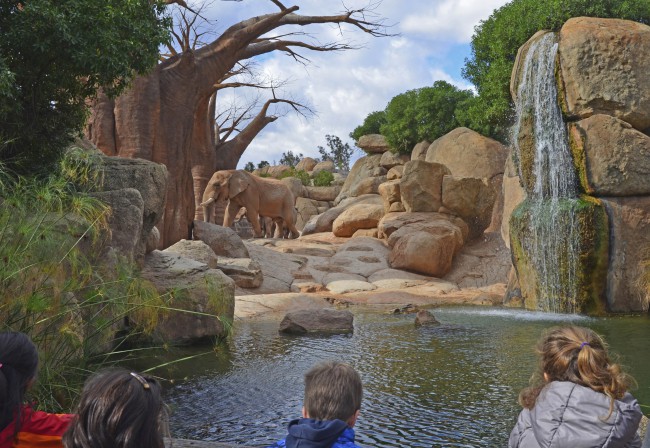 EL REGALO COMPROMETIDO CON LA NATURALEZA - BIOPARC Valencia