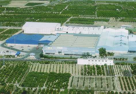agriconsa