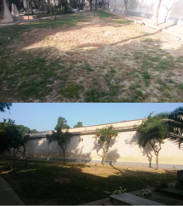 0422 Cementeri_General_02