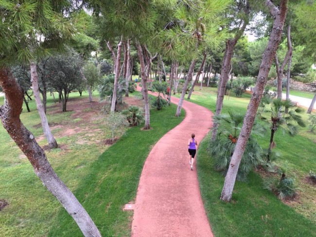 circuito-5k-jardin-del-turia