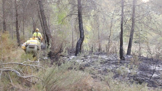 incendio-la-font-roja-2