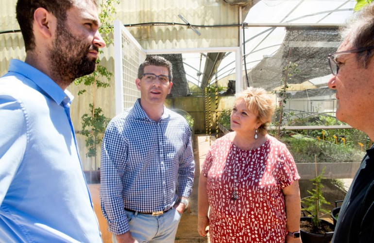 escuela-viticultura-requena-03