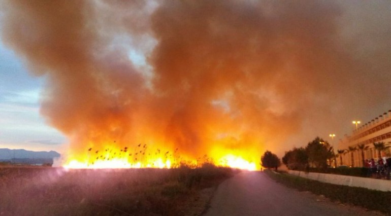 incendio-almenara-03