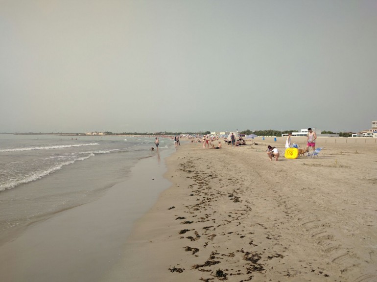 0720 Alges platja Pinedo (3)