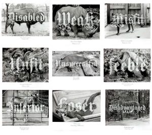 0906-Projecte-Ernesto-Casero-02