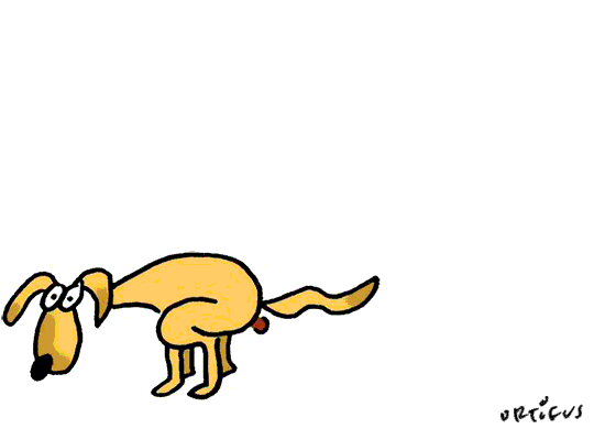 0922-ortifus-concienciacio-neteja-ciutat-merda_gos