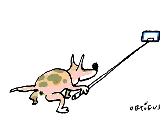 0922-ortifus-concienciacio-neteja-ciutat-paloselfie