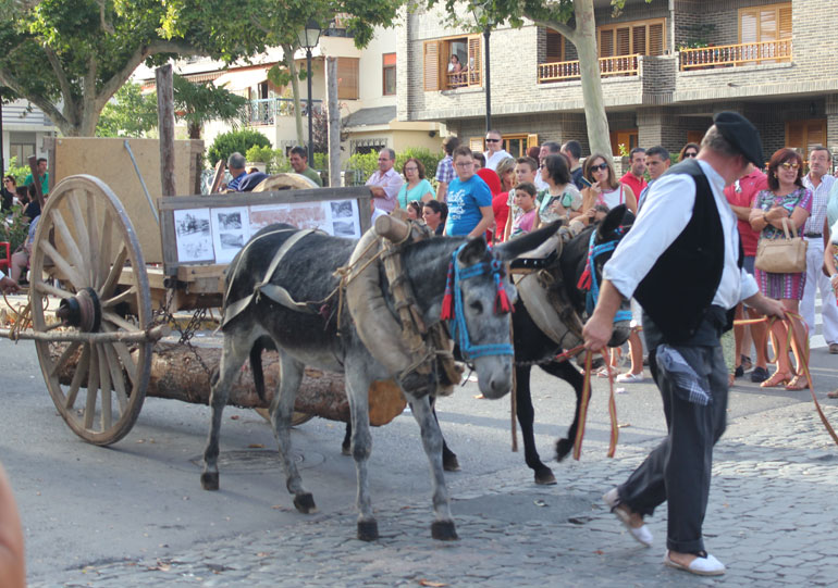 requena-fiesta-vendimia-2016-16