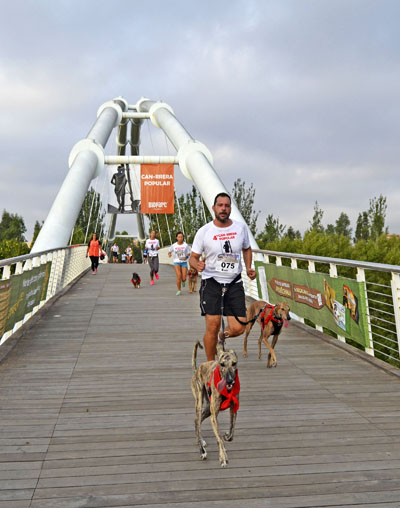 4a-can-rrera-de-valencia-participantes-2