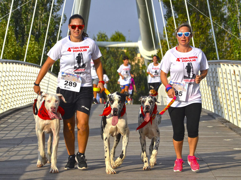4a-can-rrera-de-valencia-participantes-8