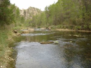 Hoces del Cabriel