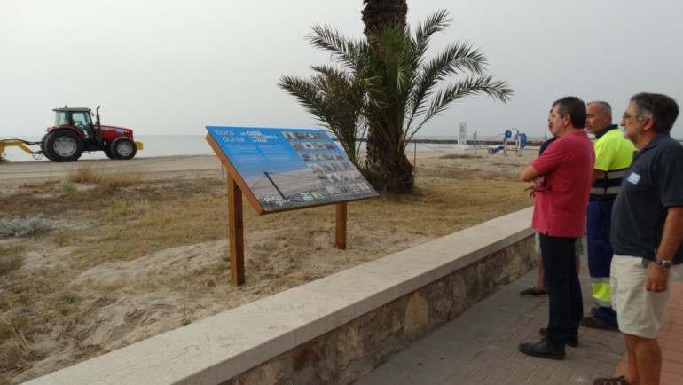 Josep Bort visita el ecosistema dunar de la playa de Puçol.