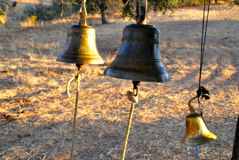 Concierto De sol a sol en Nits d'Aielo i Arts