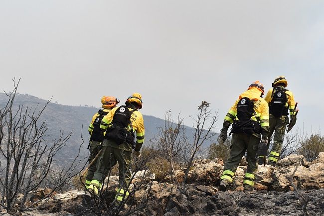 brigadas forestales Divalterra
