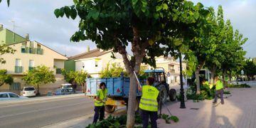 Taller de Empleo en Chiva