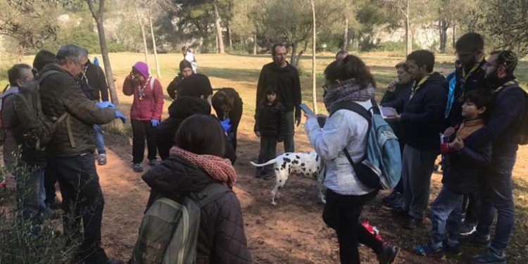 Voluntariado medioambiental
