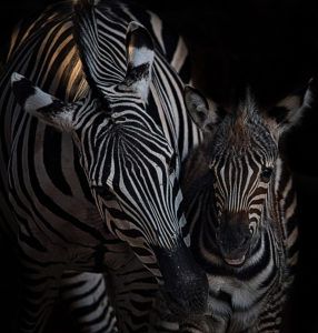 2º HERMENEGILDO ANTONIO MARTINEZ REBENAQUE