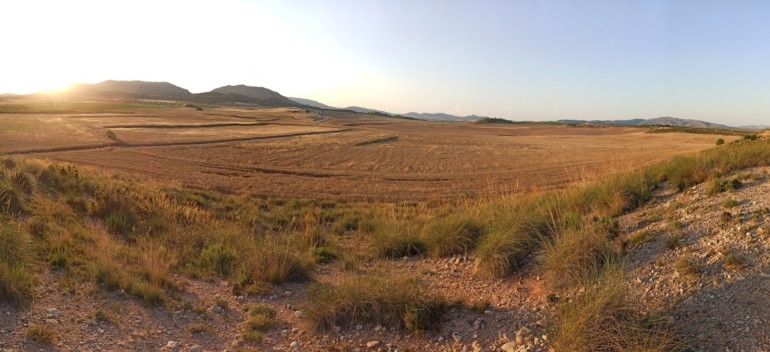Panorámica de típico valle cerealista, ZEPA Moratillas-Almela