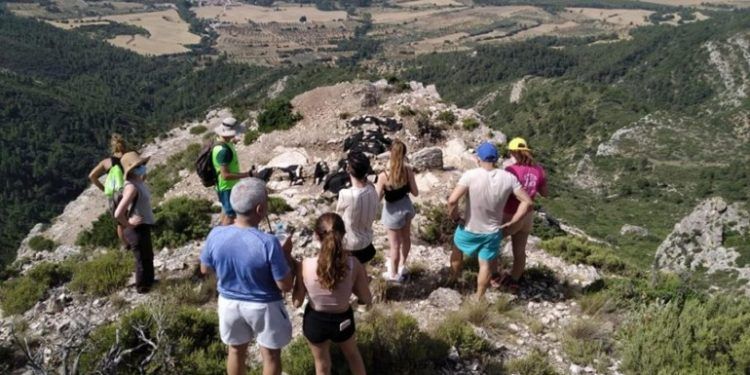 el pico de los ajos de Ayora