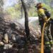 Personal de Divalterra (Diputació de València) están trabajando en la extinción del incendio de Benimantell.