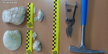 La Guardia Civil se incauta de 19 restos paleontológicos en la Sierra Larga de Elche