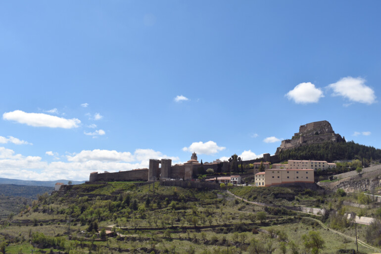 Morella