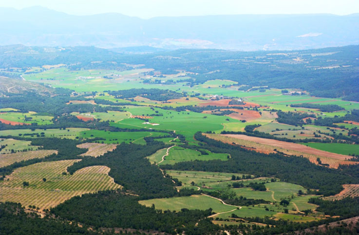 Foto 2. Paraje de las Vegas de Ayora, también afectado por la proyectada instalación de macroplantas fotovoltaicas (foto A.N.A.V.). Como en la anterior foto, se aprecia el paisaje tradicional en mosaico agroforestal que alberga a numerosas especies de fauna y flora.