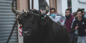 torico cuerda Chiva