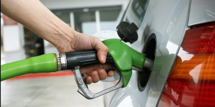 gasolinera surtidor manguera