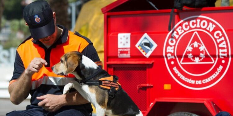 Unidad Canina de Búsqueda y Rescate de Castellón