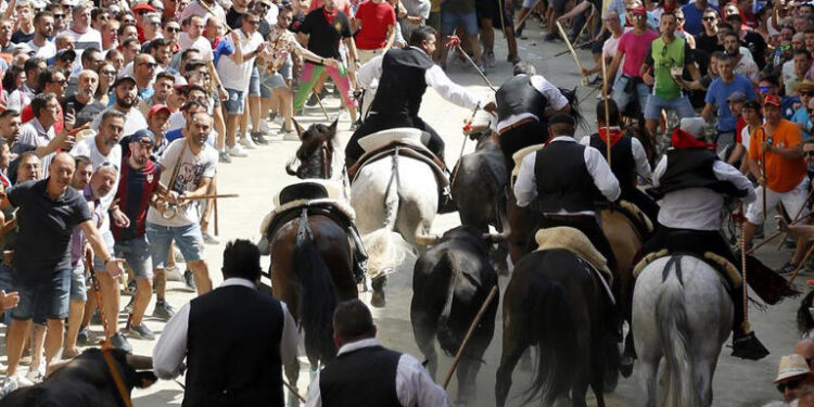 entrada toros y caballos segorbe