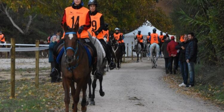 Campeonato de España de Raid absoluto 2024