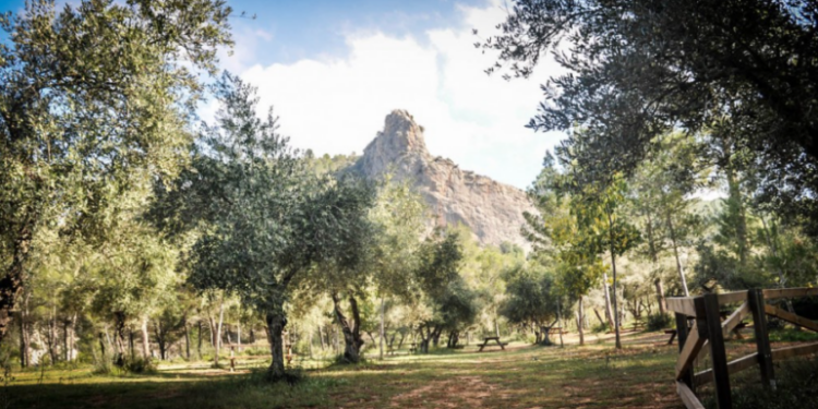 Zona recreativa Cova Negra