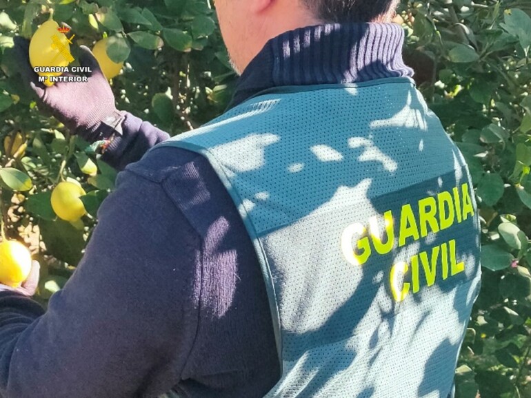 La Guardia Civil detiene al autor de una estafa en la compra de 200 toneladas de limones a varios agricultores de la Vega Baja por más de 73.000 euros