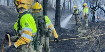 incendio de vegetación junto al camping de Viver