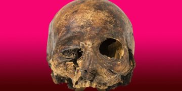 Cráneo del Papa Luna