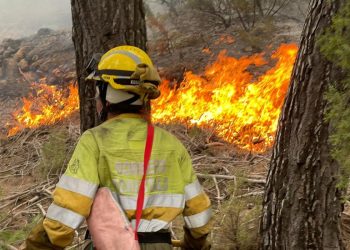Un bombero forestal participa en la extinción del incendio de Villanueva de Viver