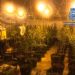 La Policía Nacional desmantela una plantación de marihuana en Gandia
