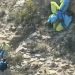 Un parapentista sufre accidente en la cara sur de la Sierra del Cid