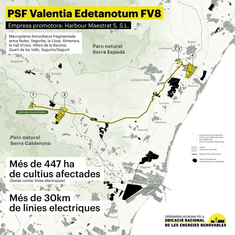 Megaproyecto Valentia Edetanorum FV8