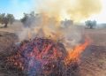 Se amplía el plazo de quemas agrícolas hasta el 16 de junio